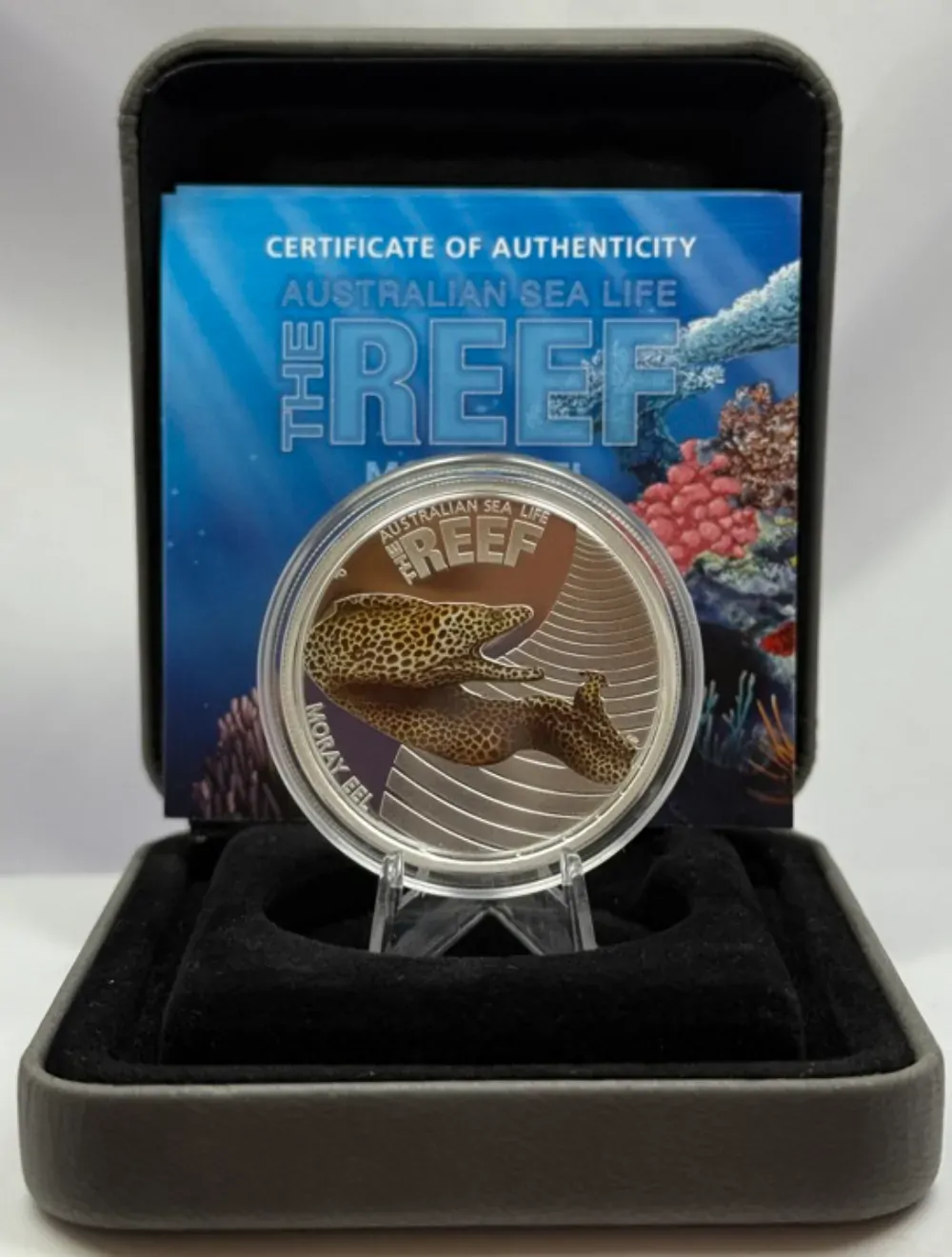 2010 Silver Half Ounce Proof Reef - Moray Eel