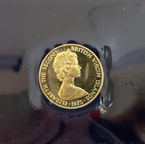 British Virgin Islands 1975 Gold Proof 100 Dollars KM#7 Royal Tern product image