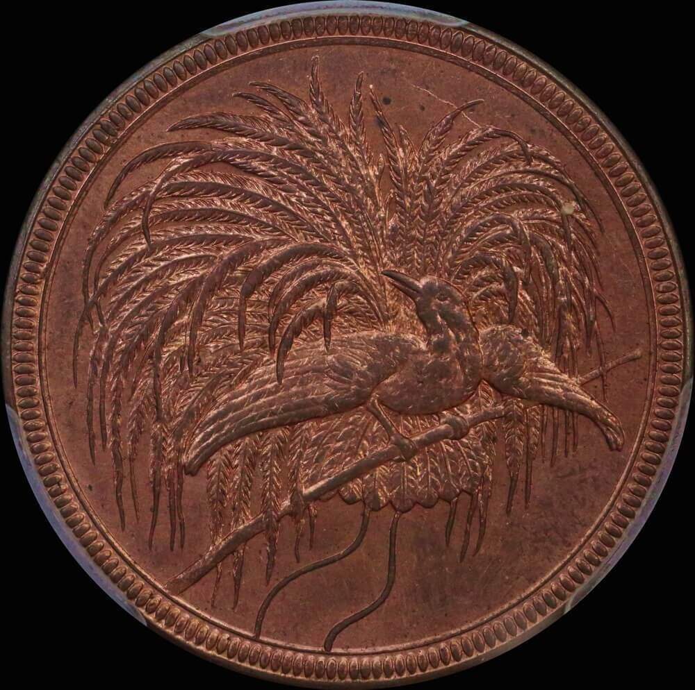 German New Guinea 1894 Copper 10 Pfennig KM#3 PCGS MS63RB