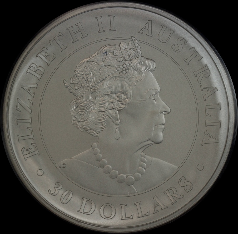 2022 Silver Kilogram Koala Specimen Coin product image