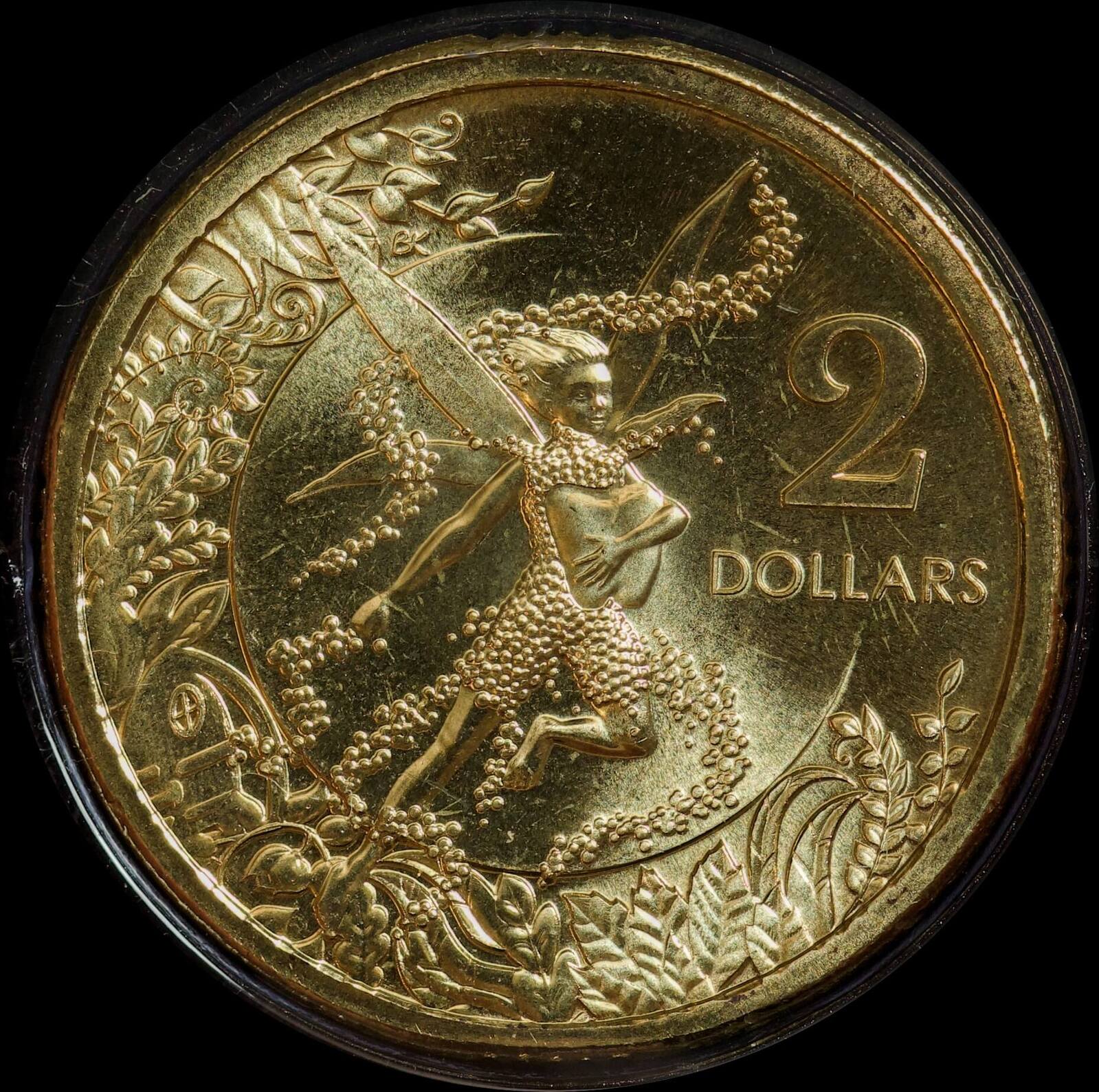 2020 2 Dollar Coin Tooth Fairy Kit - Version 1 Fluoro Pink product image