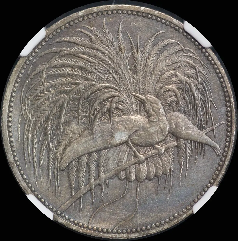 German New Guinea 1894 Silver 5 Marks KM# 7 NGC AU Details
