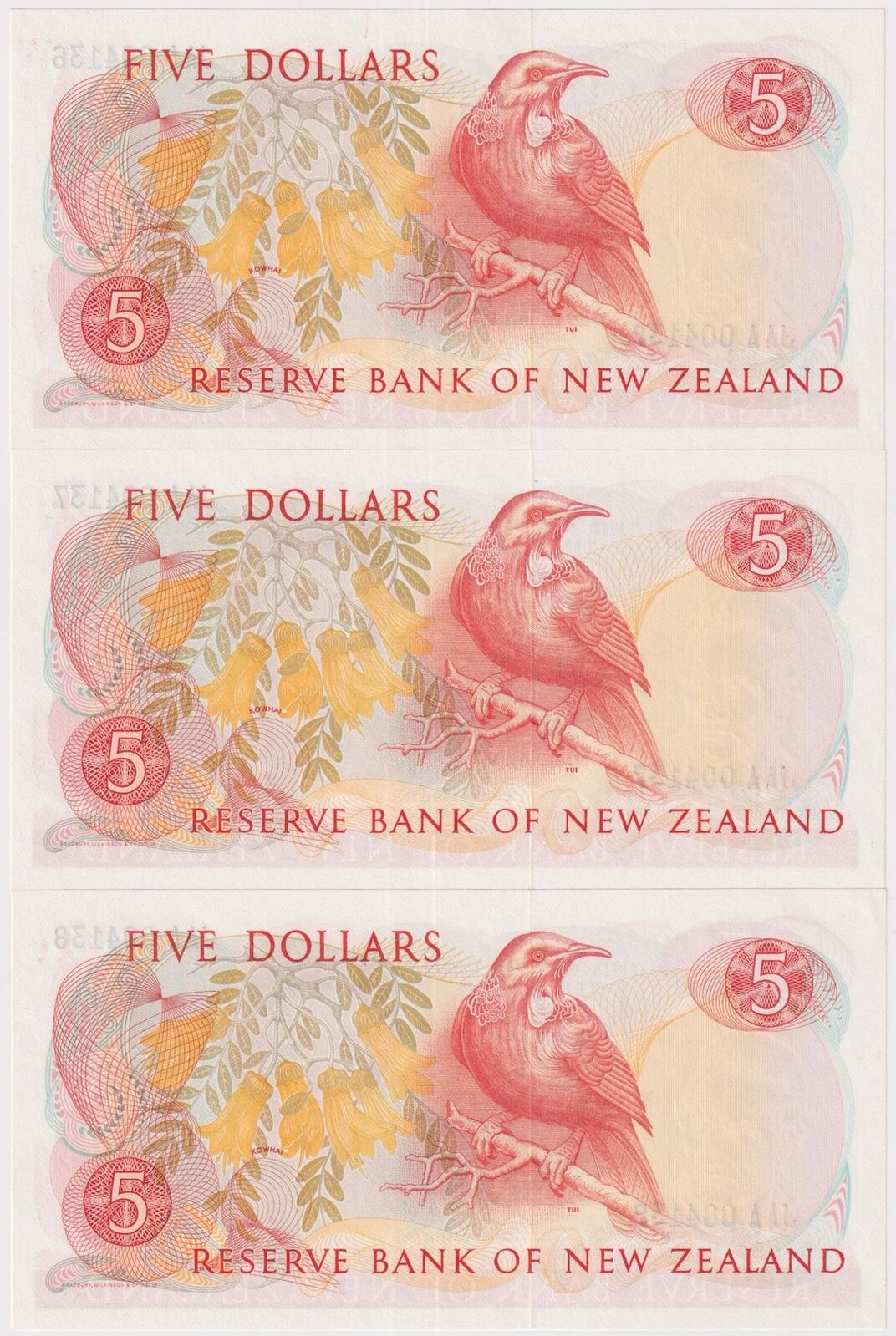 New Zealand 1981 Consecutive Trio of $5 Notes JAA First Prefix P#171af Uncirculated product image