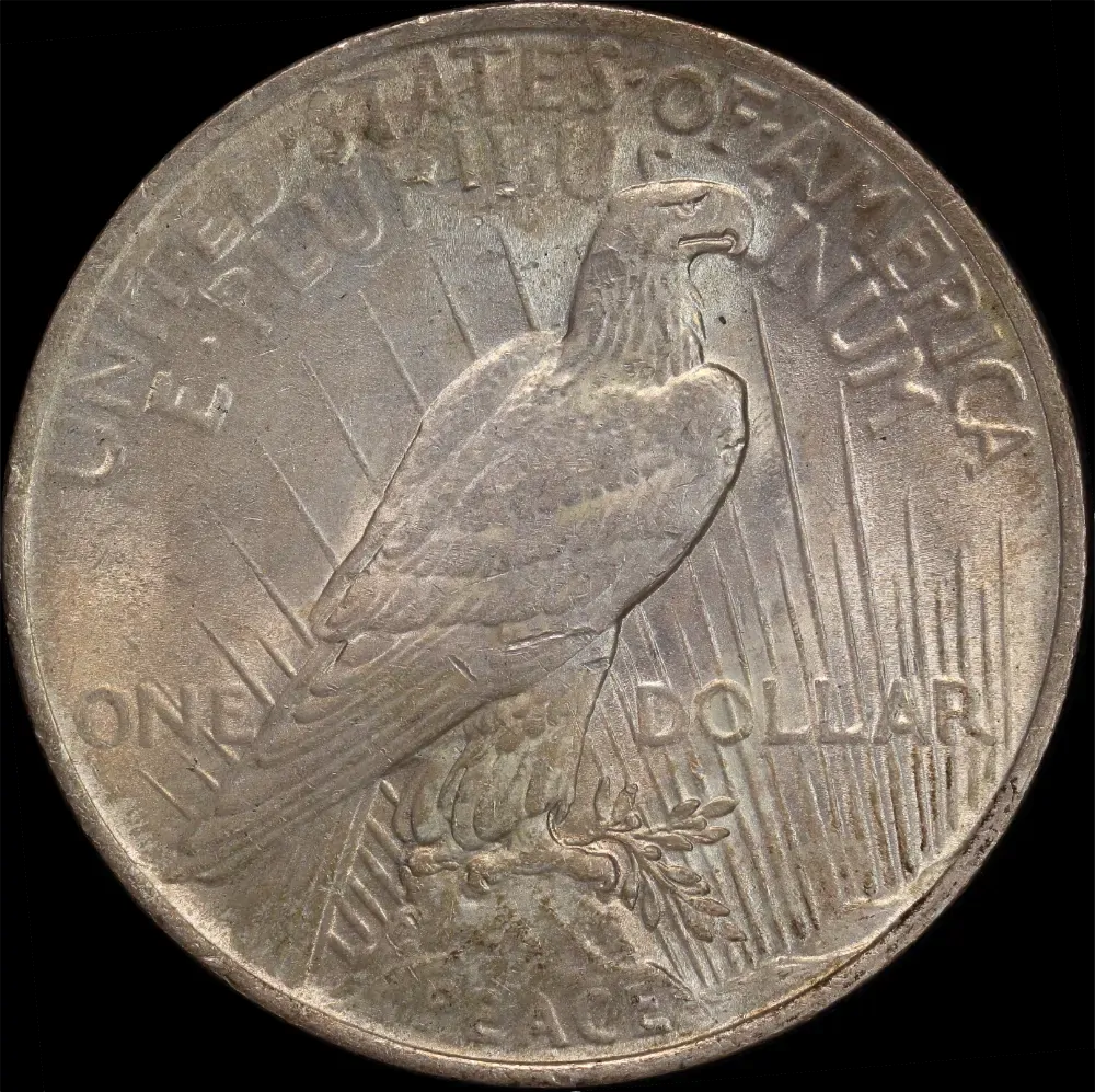 United States 1923 Silver Peace Dollar Uncirculated product image