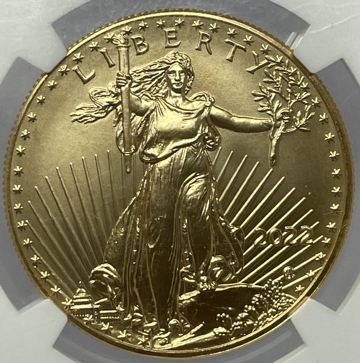 United States 2022 Gold 1oz Eagle  Struck Through Error product image