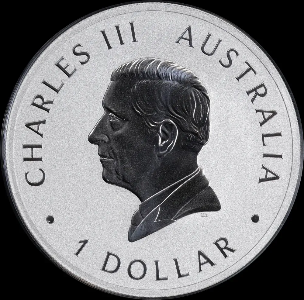 2024 Silver 1oz Bullion Coin Wombat