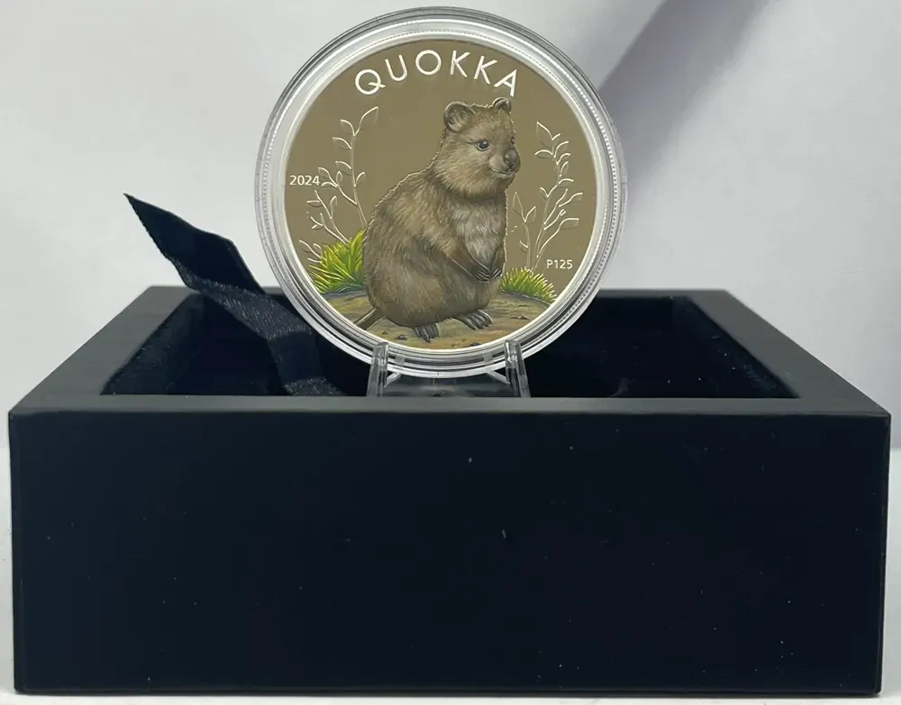 2024 Silver 1 Ounce Coloured Proof Coin Quokka product image