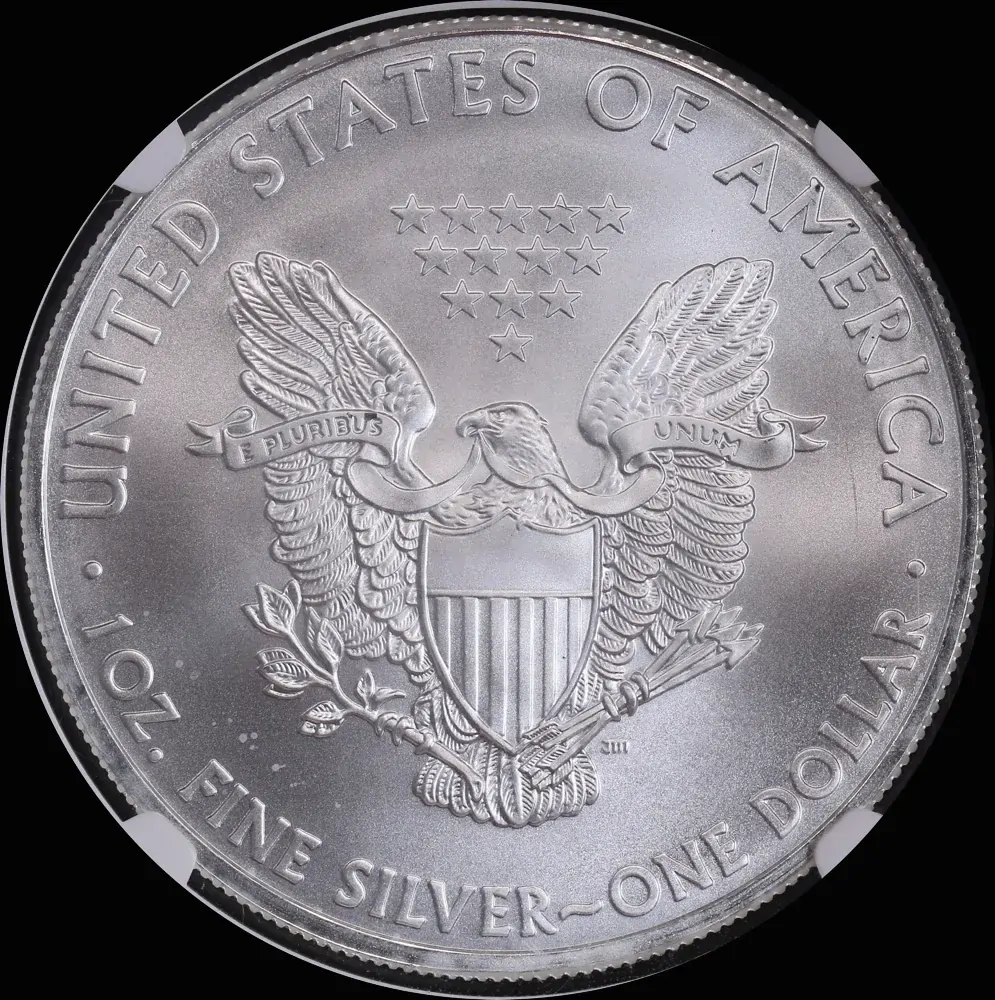 United States 2009 Silver 1 Ounce Eagle NGC MS69 product image