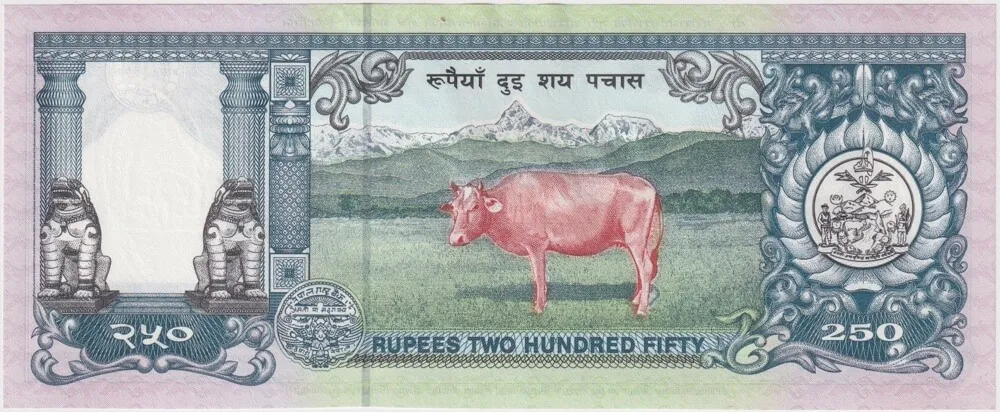 Nepal 1997 250 Rupees P#42 Uncirculated Silver Jubilee product image