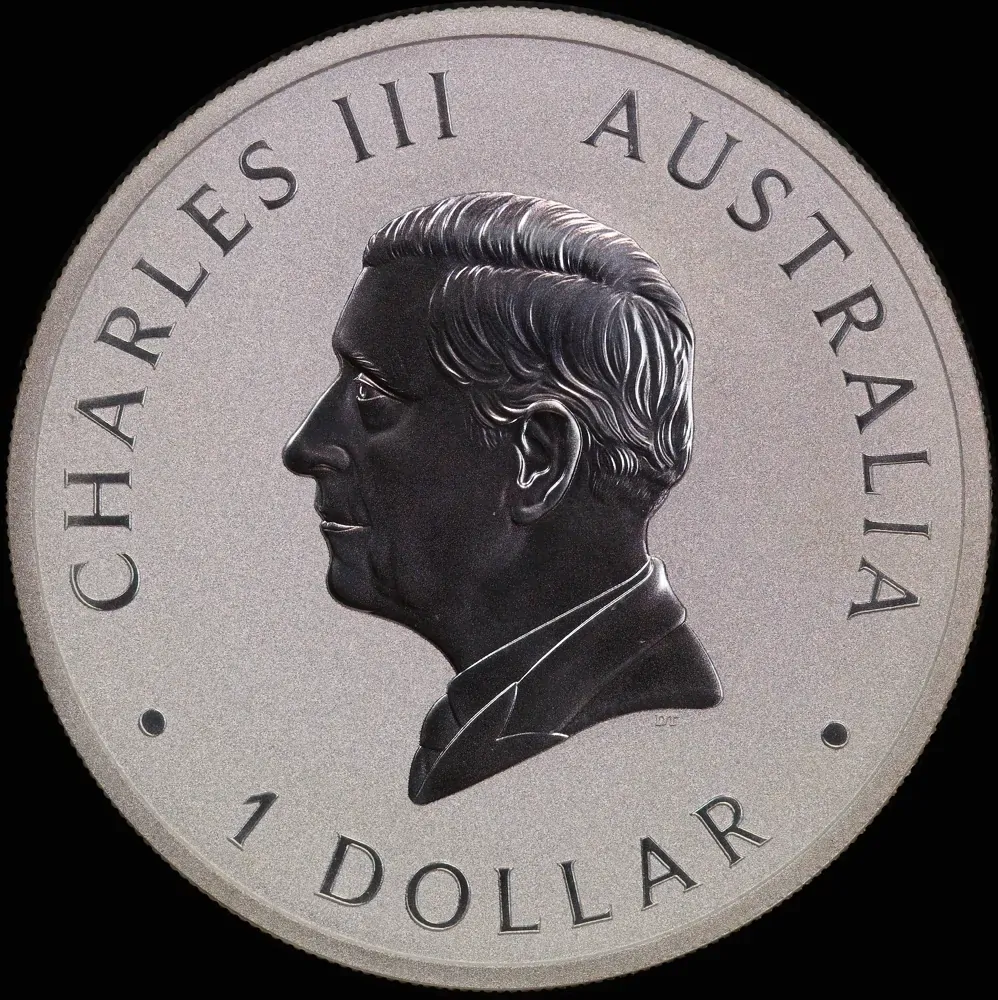 2024 Silver 1 Ounce Uncirculated Coin Swan