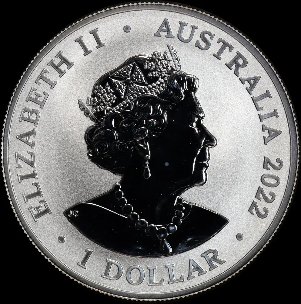 2022 Silver 1oz Uncirculated Coin Dusky Dolphin