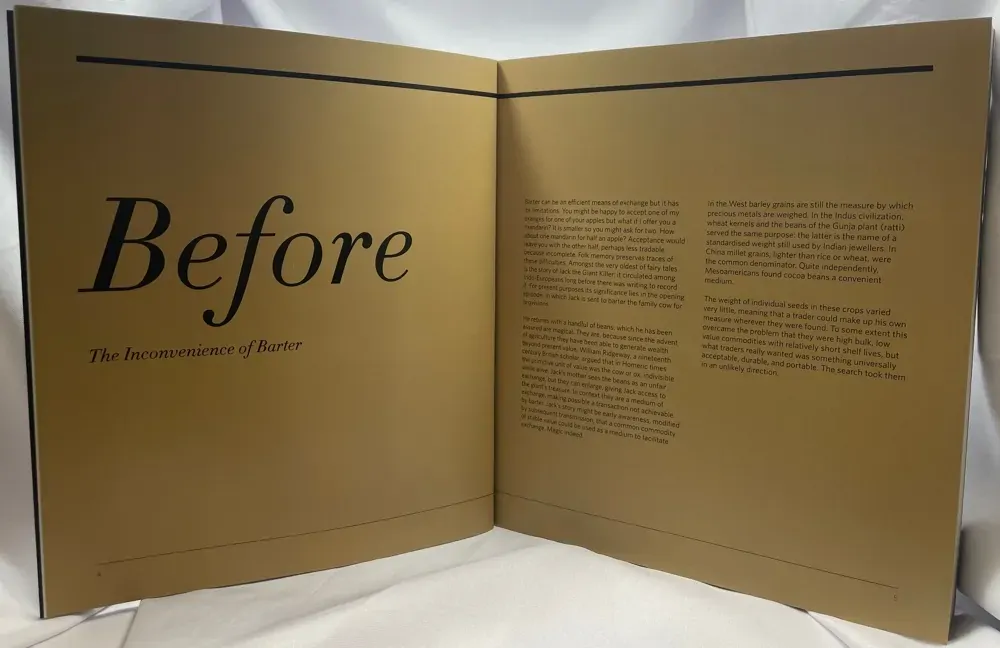 Heads and Tales: The Rise and Demise of Coins - Granville Allen Mawer