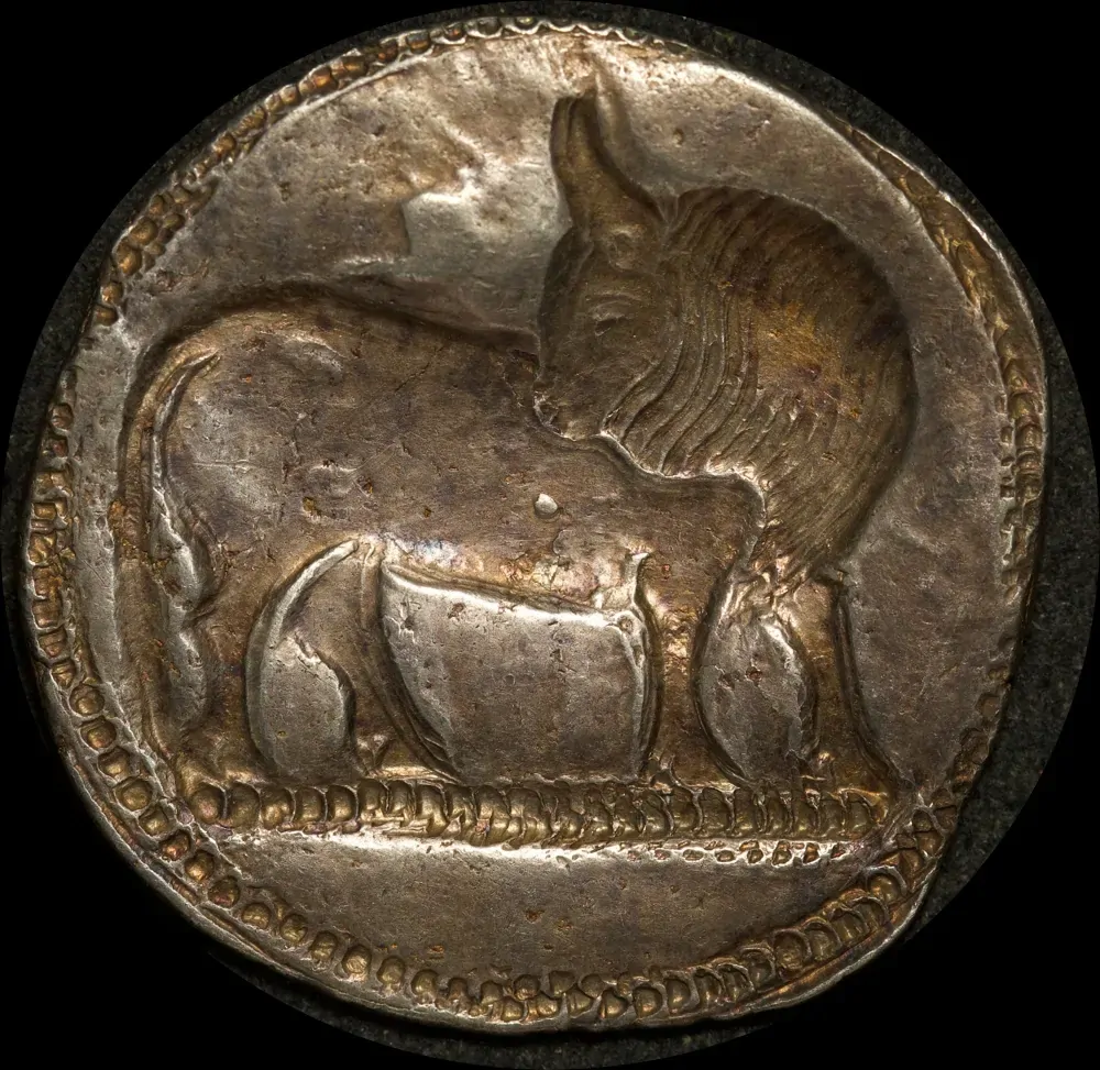 Italy (Lucania, Sybaris) 550 ~ 510 B.C Silver Nomos Very Fine