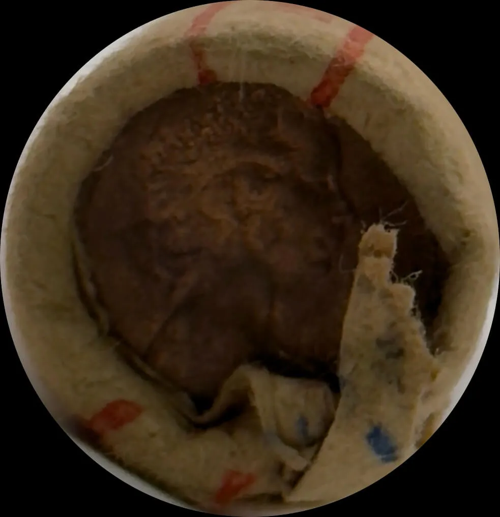 1971 One Cent RAM Mint Roll Heads Tails