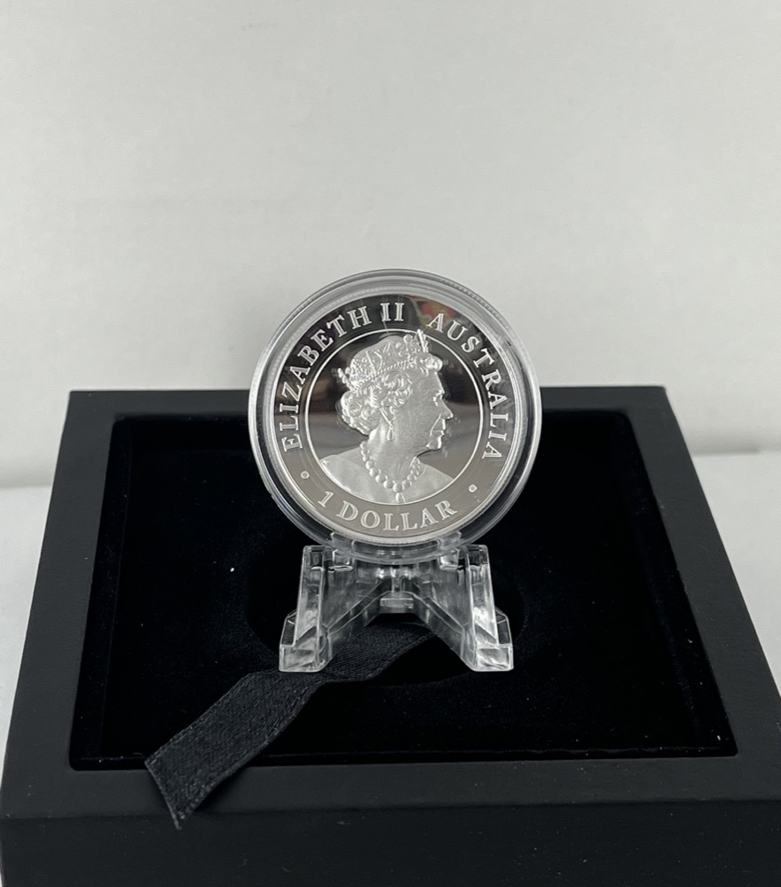 2022 Silver 1oz Unc Coin Silver Swan Series product image