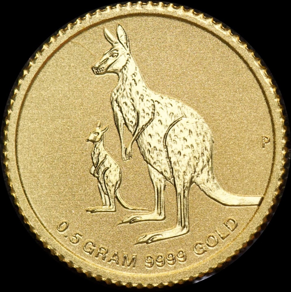 2020 Gold Half Gram Coin Mini Kangaroo product image