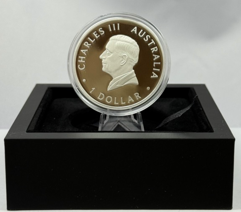 2024 Silver 1oz Proof Coin 125th Anniversary product image