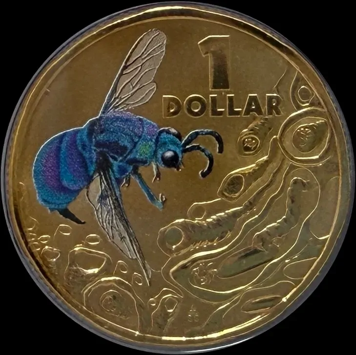 2014 1 Dollar Coloured Uncirculated Coin Bright Bugs Cuckoo Wasp product image