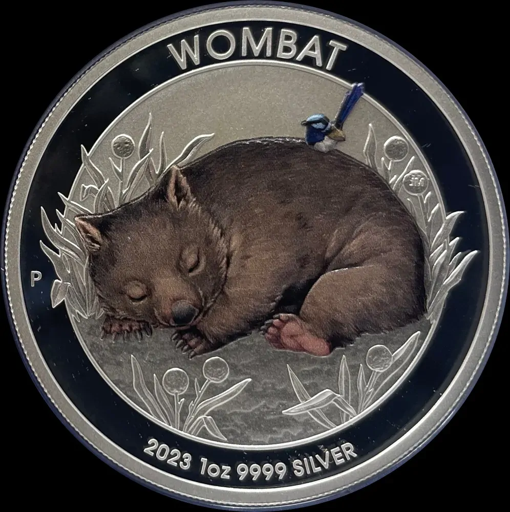 2023 Silver 1 Ounce Coloured Coin Wombat product image