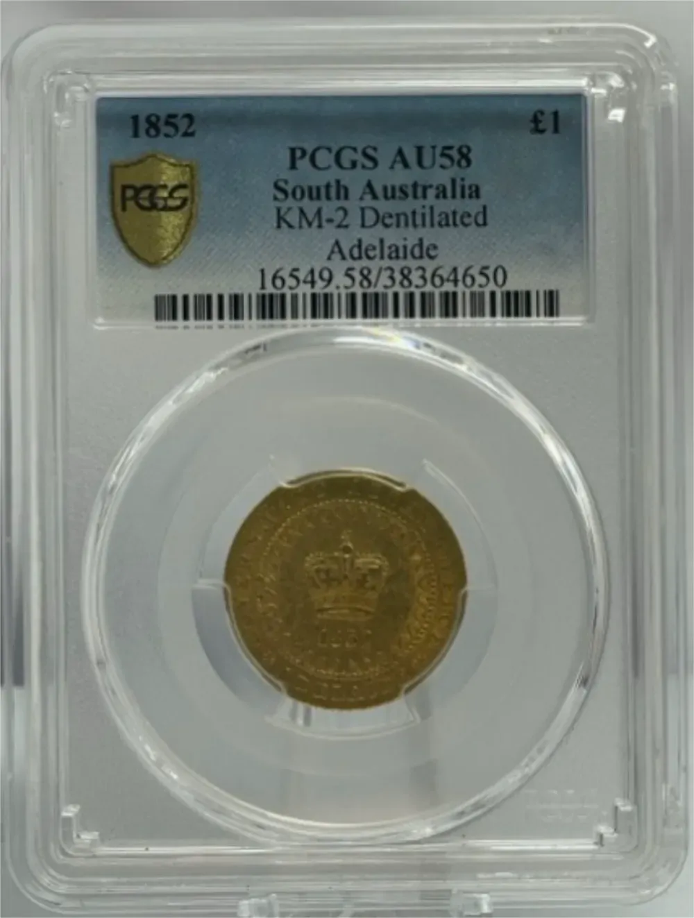 1852 Type II Gold Adelaide Pound PCGS AU58 product image