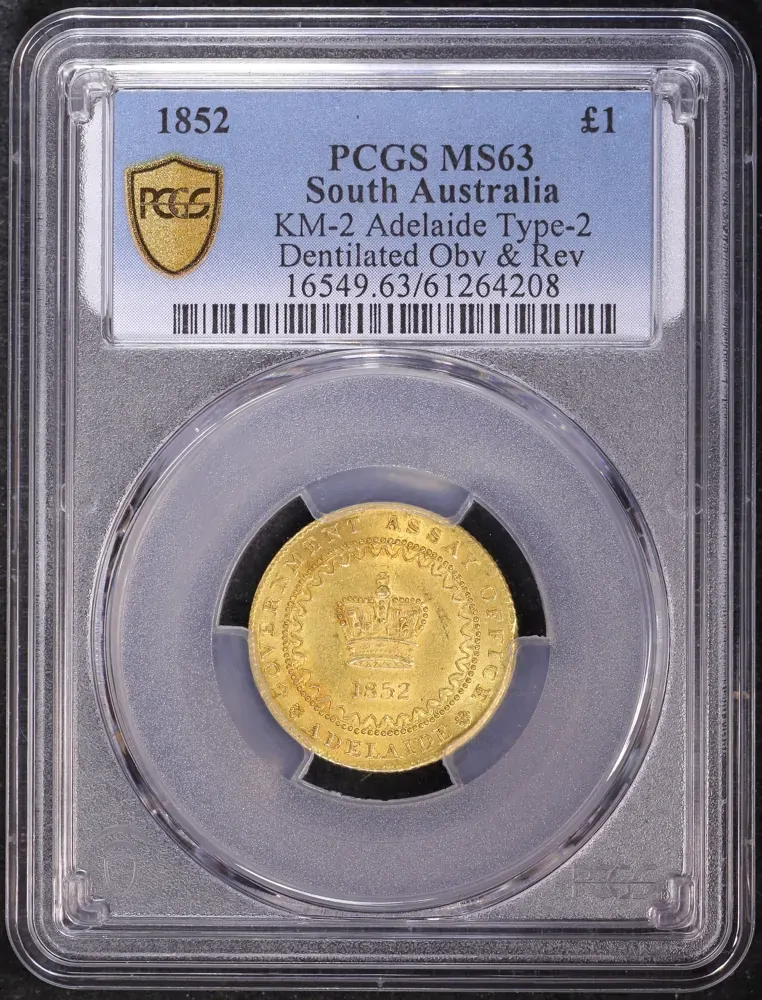 1852 Type II Adelaide Pound Choice Unc (PCGS MS63) product image