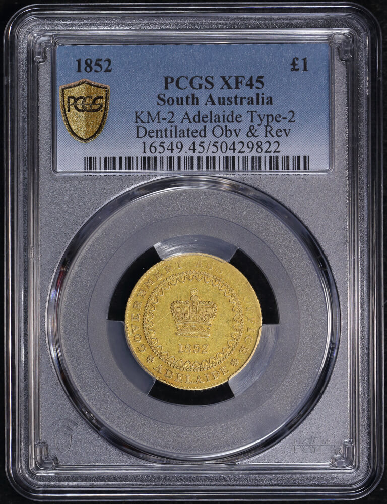 1852 Type II Gold Adelaide Pound PCGS XF45 product image