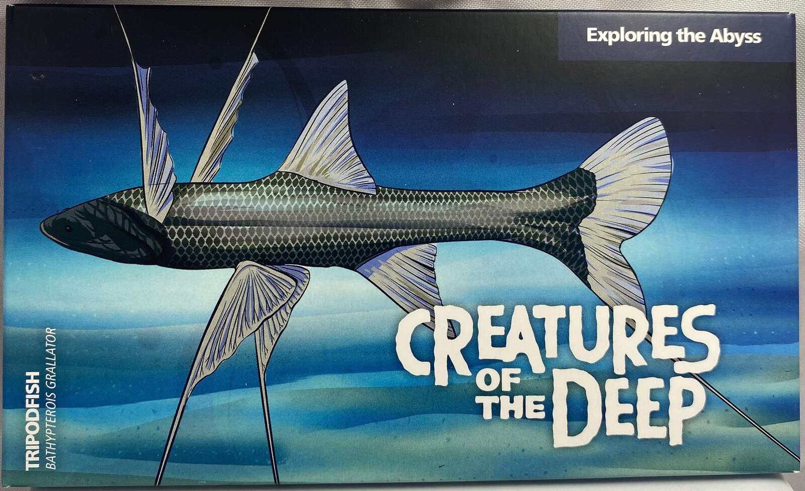 2022 $1 Mintmark and Privy Mark Four Coin Set Creatures of The Deep - Tripodfish product image