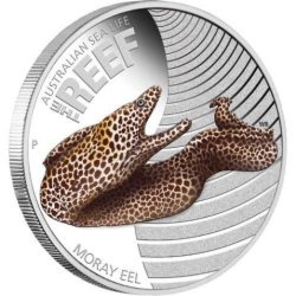 2010 Silver Half Ounce Proof Reef - Moray Eel
 product image