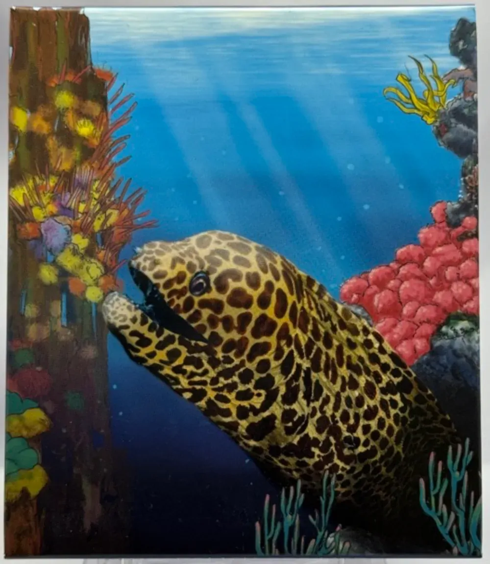 2010 Silver Half Ounce Proof Reef - Moray Eel product image