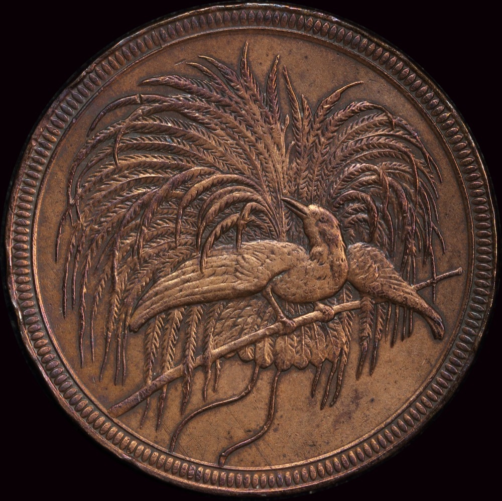 German New Guinea 1894 Copper 10 Pfennig KM#3 GEF product image