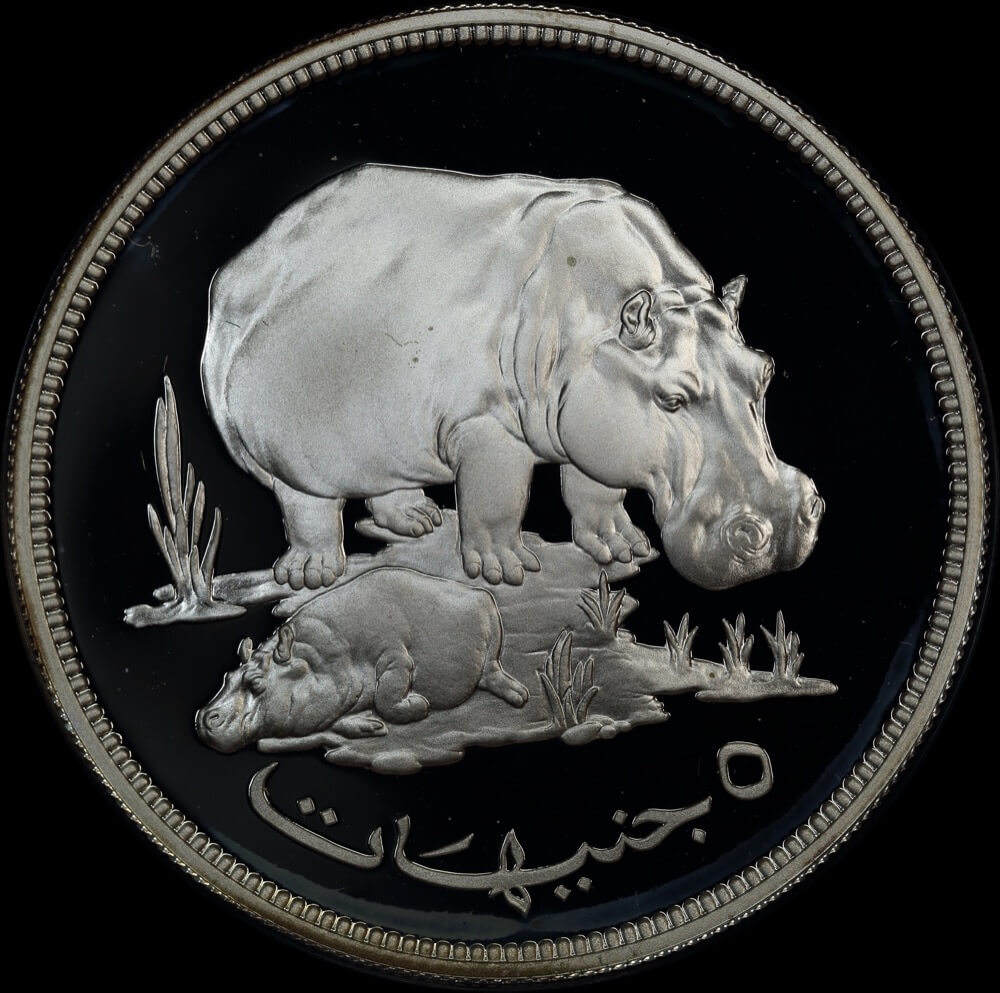 Sudan 1976 Silver Proof 5 Pounds - Hippopotamous KM# 71  product image