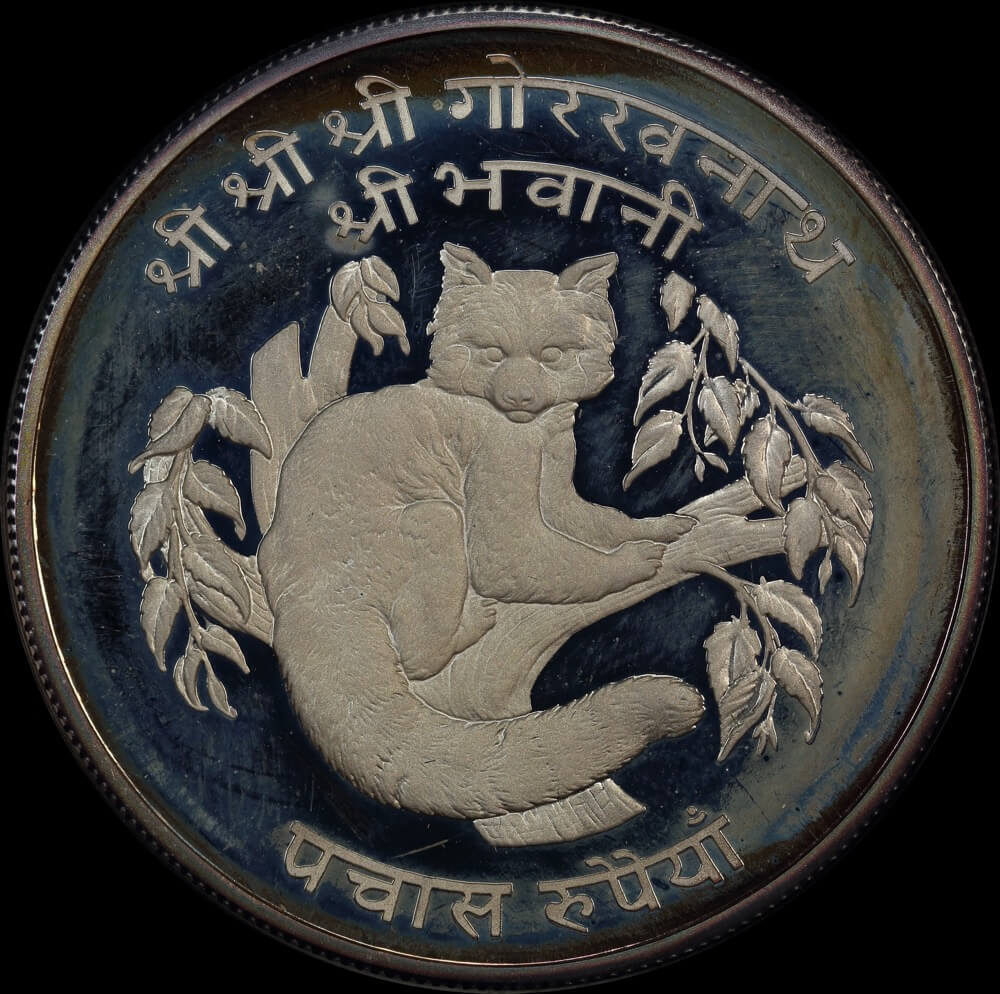 Nepal 1974 Silver Proof 50 Rupee - Red Panda KM# 841a  product image