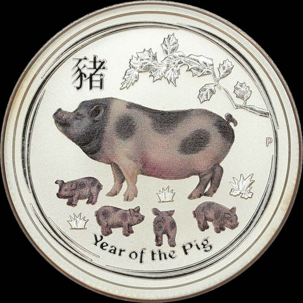 2019 Silver 1/4 oz Coloured Coin Lunar Pig Sydney Money Expo product image