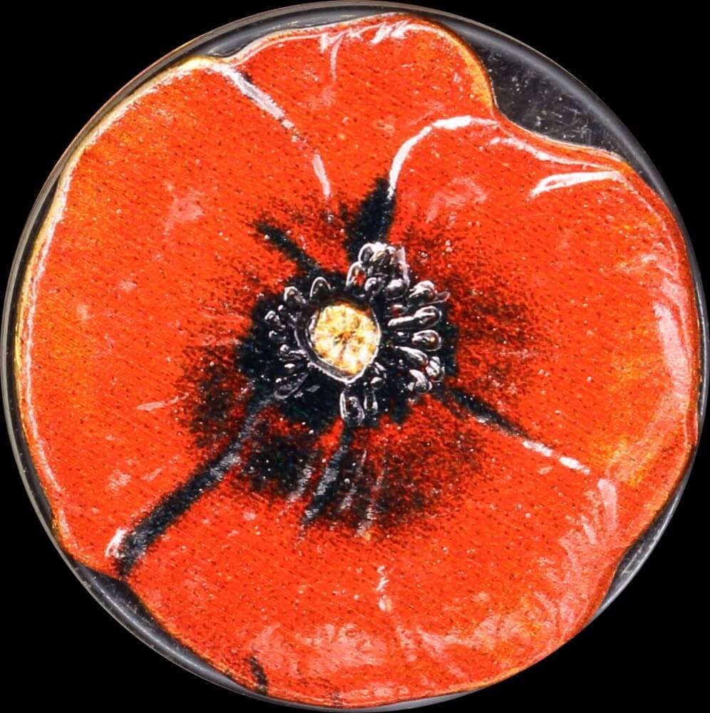 Palau 2008 Gold 1 Dollar Proof Red Poppy product image