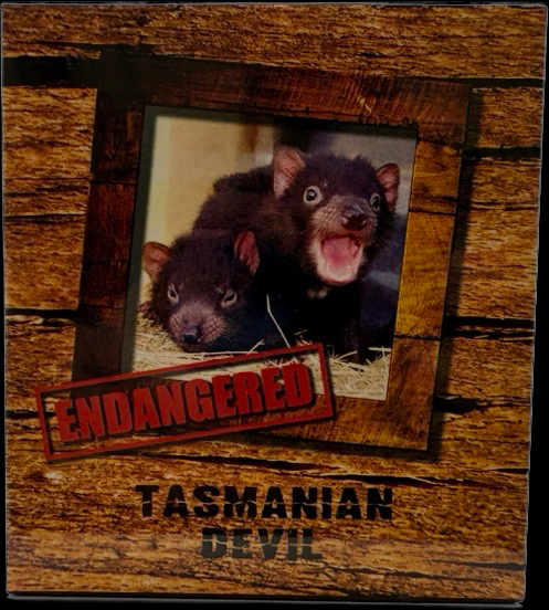 Tuvalu 2013 Silver 1 Dollar Proof Tasmanian Devil product image
