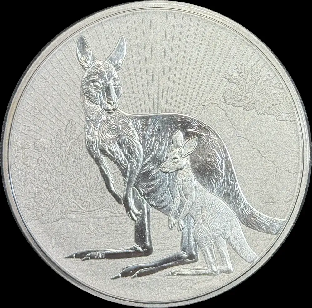 2022 Silver 2oz Unc Coin Kangaroo Mother and Baby product image