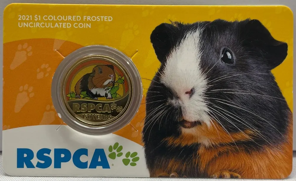2021 $1 Uncirculated Coin in Card RSPCA - Guinea Pig product image
