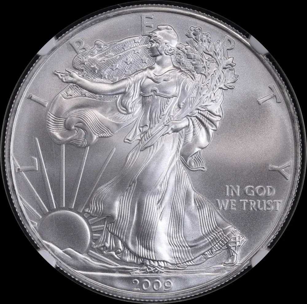 United States 2009 Silver 1 Ounce Eagle NGC MS69 product image