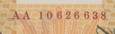 2010 AA10 $100 Banknote