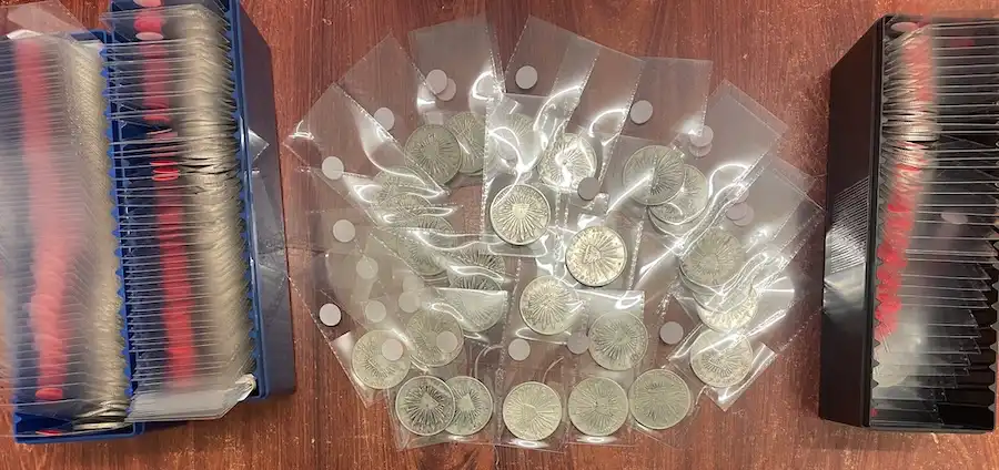 Silver Patacas of East Timor