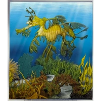 2009 Silver Half Ounce Proof Reef - Leafy Sea Dragon