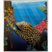 2010 Silver Half Ounce Proof Reef - Moray Eel