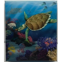 2011 Silver 1/2 Ounce Proof Reef Hawksbill Turtle