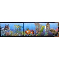 2009 - 2010 Silver Half Ounce Proof Five Coin Set - The Reef Series I