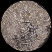 Unidentifiable Netherlands Silver Rijksdaalder Poor Condition ex Batavia shipwreck