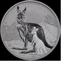 2022 Silver 10oz Unc Coin Kangaroo Mother and Baby