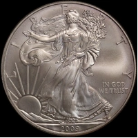 United States 2009 Silver 1 Ounce Eagle Uncirculated Coin
