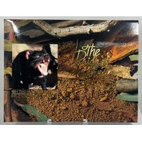 1994 Two Hundred Dollar Gold Unc Coin Tasmanian Devil