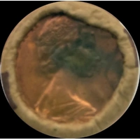 1977 Two Cent RAM Roll - Heads / Tails