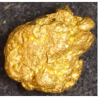 Natural Gold Nugget 0.746g